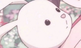 飞蛾扑火的猫漫画,一场扑火与守护的温馨对决